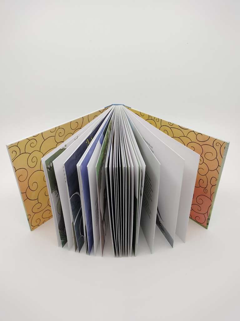 A book standing up with pages fanned out.