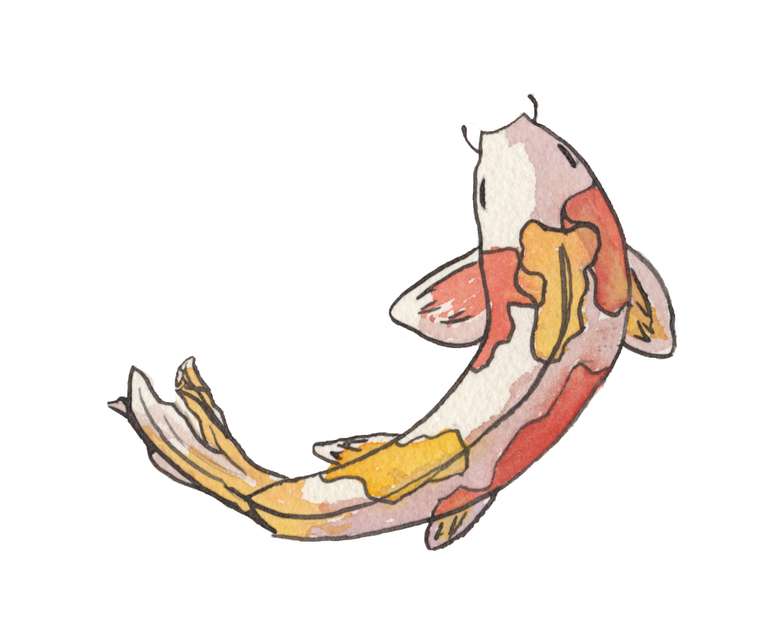 illustration of a koi fish