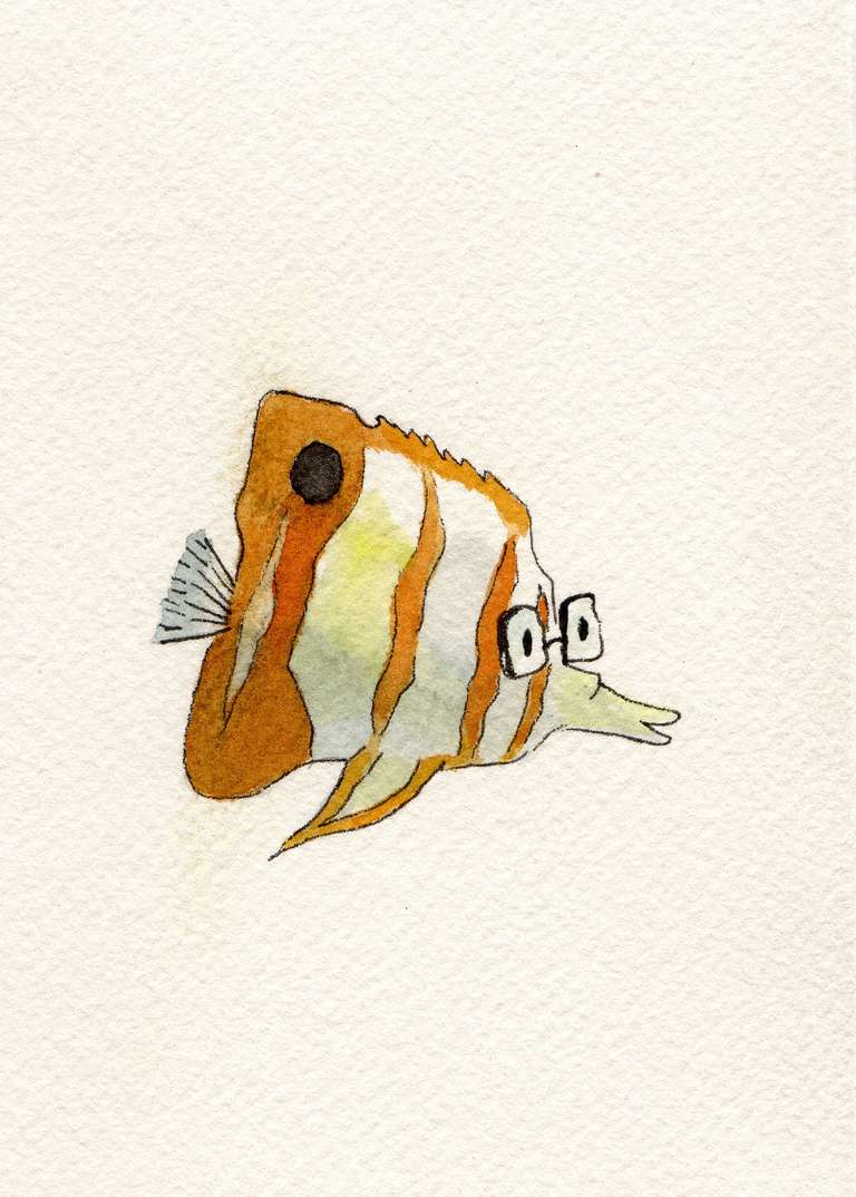 illustration of a copper butterfly fish with glasses