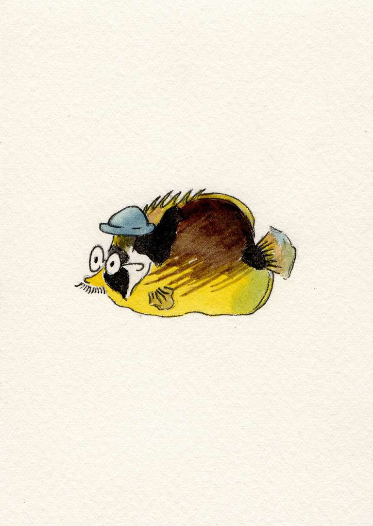 illustration of a racoon butterfly fish in a hat and moustache