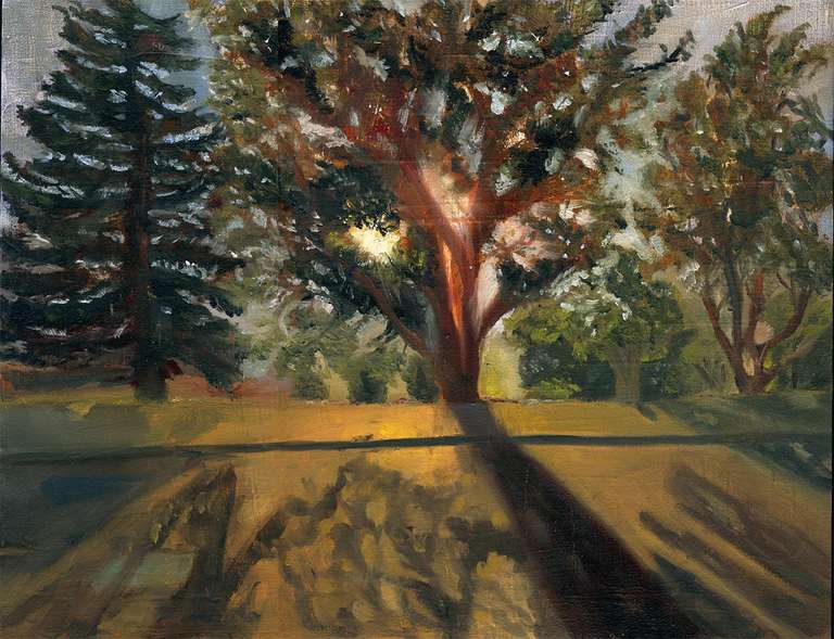 An oil painting of the evening sun coming throught some trees.