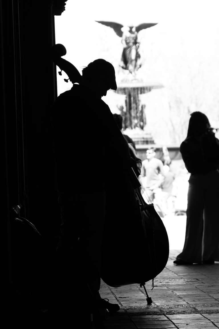 photograph of a bass player